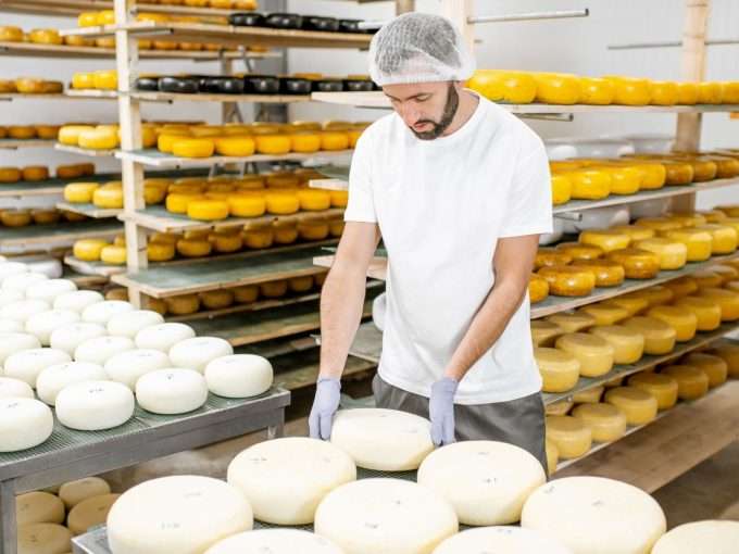 cheese factory for sale